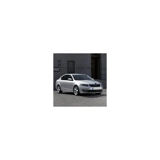 Al-Kar Ticaret Bijon Saplaması Şifresiz 4 Adet WHT001812 Octavia A7 ile Uyumlu 2013-2017
