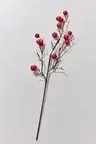 Fruit 83 cm Kırmızı 11