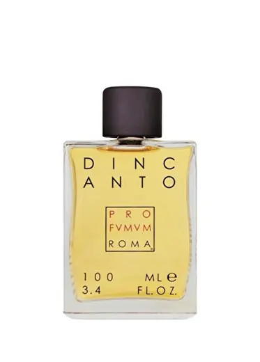 Dincanto EDP 100 ml Erkek Parfüm