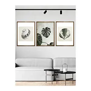 Vetro Design Monstera Ve Deniz Kabukları 40x50 Cm Ceviz
