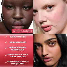 POWDER KISS LIP & CHEEK MOUSSE 3