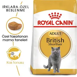 Royal Canin British Shorthair Yetişkin Kedi Maması 2 Kg 2