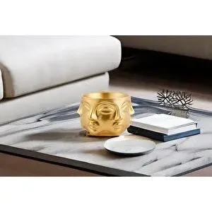 Vivense Adler Saksi Orta Boy Gold