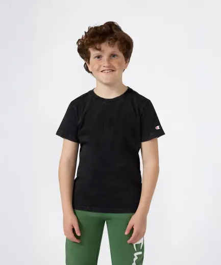 Champion Icons Wash Short-Sleeve Tee