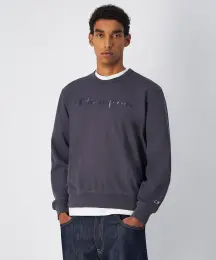 Champion Icons Crewneck Sweatshirt 1