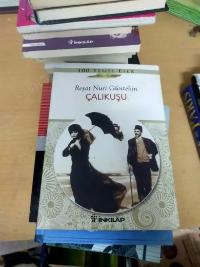 ÇALIKUŞU ( Gençler için )