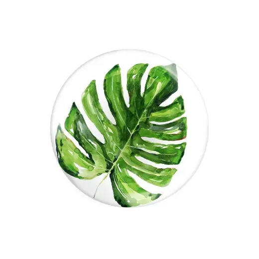 Fern&Co Exotic Collection Büyük Tabak 4 Lü Set