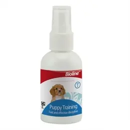 M-Pets Party Time Erkek Köpekler İçin Doğum Günü Seti 20x20x7cm 12