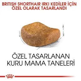 Royal Canin British Shorthair Yetişkin Kedi Maması 2 Kg 3