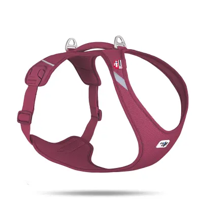 Curli Belka Harness Air-Mesh Köpek Göğüs Tasması 55,5-62,7cm (Mor) [XL]