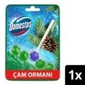 Domestos WC Blok Yoğun Parfümlü Çam Ormanı 50g