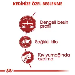 Royal Canin Fit 32 Kuru Kedi Maması 4 Kg 4