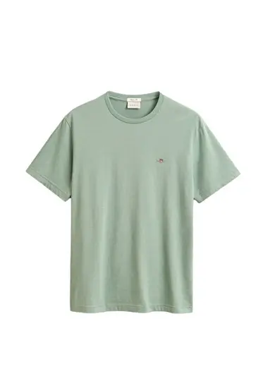 Yeşil Regular Fit Kısa Kollu Erkek T-Shirt