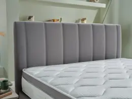 Beta Başlık 3