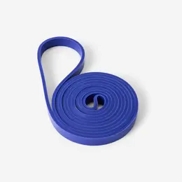 Direnç Bandı - 15 Kg - Mavi 1