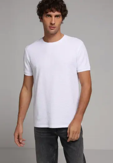 Regular Fit Yuvarlak Yaka Jakarlı Erkek Beyaz Kısa Kol Tişört