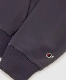 Champion Icons Hooded Sweatshirt 4