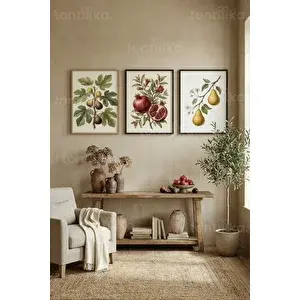 Tontilika Akdeniz Botanik Meyve 3’lü Ahşap Çerçeveli Tablo Seti 50 x 70 cm