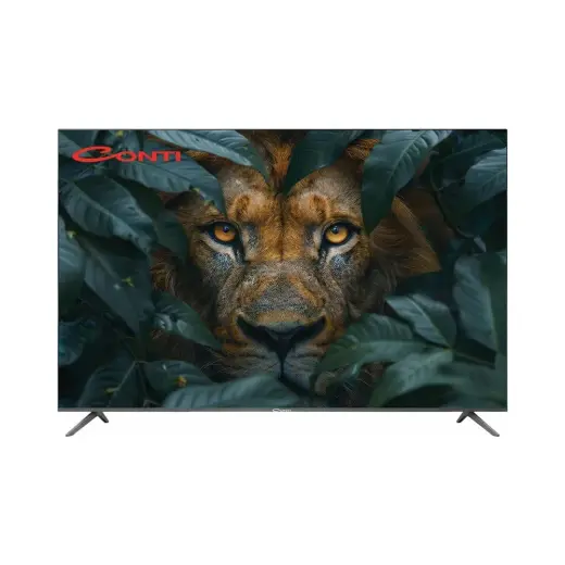 Ayrex Conti 65” 4K QLED Plus Google Tv (CT65OG300U), HDR10, Dolby Vision Atmos, Çerçevesiz, Dahi