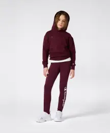 Champion Icons Hooded Sweatshirt 4