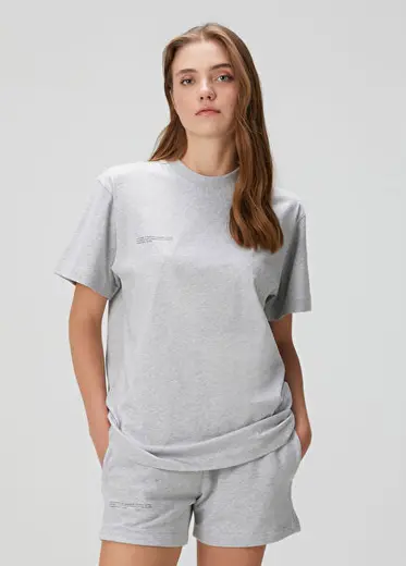 Gri T-shirt