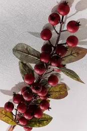 Fruit 83 cm Kırmızı 6