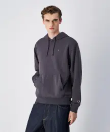 Champion Icons Hooded Sweatshirt 1