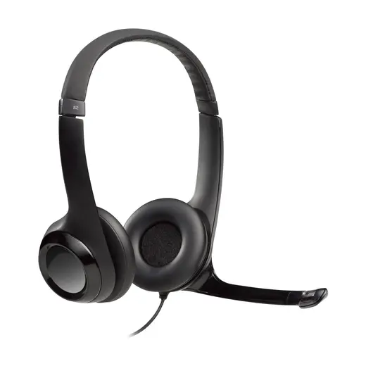 Logitech H390 USB Gürültü Önleyici Mikrofonlu Kulaklık - Siyah