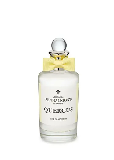 Quercus EDC 100 ML Parfüm