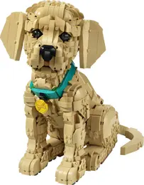 11384 LEGO® Icons Yavru Golden Retriever 1
