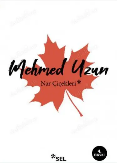 NAR ÇİÇEKLERİ : ÇOK KÜLTÜRLÜLÜK ÜZERİNE DENEMELER