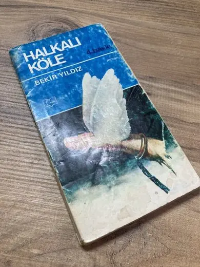 HALKALI KÖLE