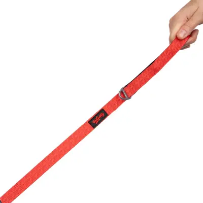 Tailpetz Prism Desenli Kedi ve Köpek Gezdirme Kayışı 130x2cm