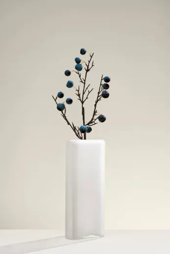 Fruit 68 cm Mavi