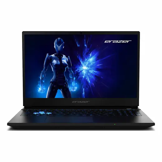 Erazer Deputy 15 P1 MD62761 Core 7 250H 16 GB 1TBSSD RTX5060 15.6" FullHD W11H Dizüstü Bilgisayar