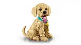 11384 LEGO® Icons Yavru Golden Retriever 4