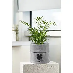 Serstil Mini Boy Silindir Gri Sepet - 15 X 15 Cm