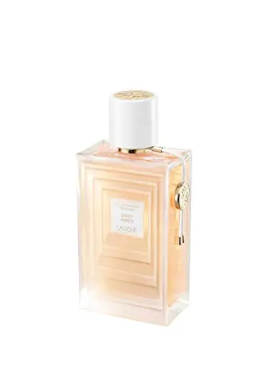 Les Compositions Sweet Amber EDP 100 ml Kadın Parfüm
