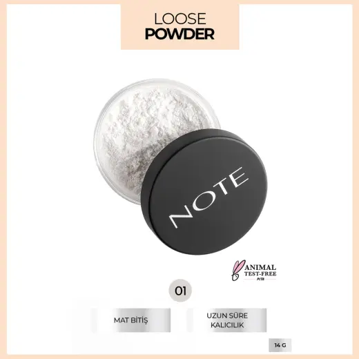 Note Loose Pudra 01 Invisible