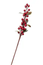 Fruit 83 cm Kırmızı 4