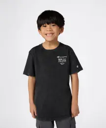 Champion Icons Wash Short-Sleeve Tee 1
