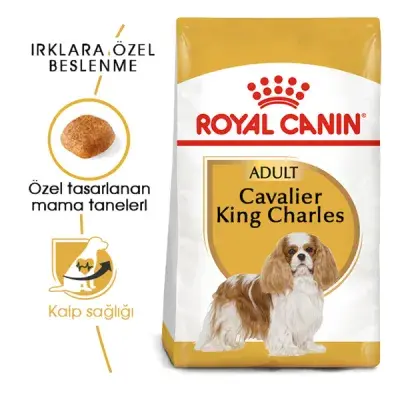 Royal Canin Cavalier King Charles 27 Yetişkin Köpek Maması 1,5kg