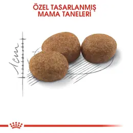 Royal Canin Sterilised 37 Kısırlaştırılmış Kedi Maması 15kg 4