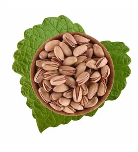 Antep Fıstığı Anaçatlak 500 g