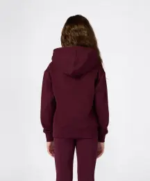 Champion Icons Hooded Sweatshirt 3